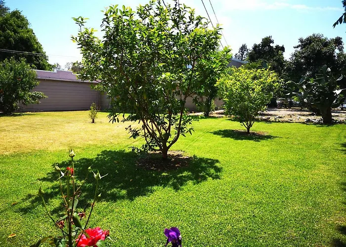 Pasadena Single House 3B1B 三房一厅一厨一浴